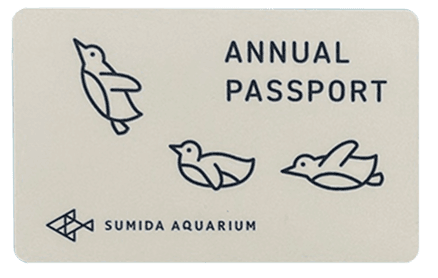 年間パスポートの画像