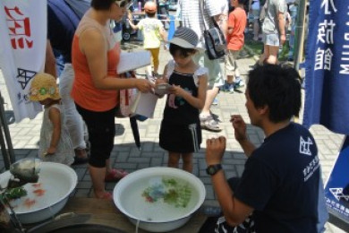 7月21日 22日 江戸川区金魚まつり 出張水族館のお知らせ 東京スカイツリータウン にある すみだ水族館 公式