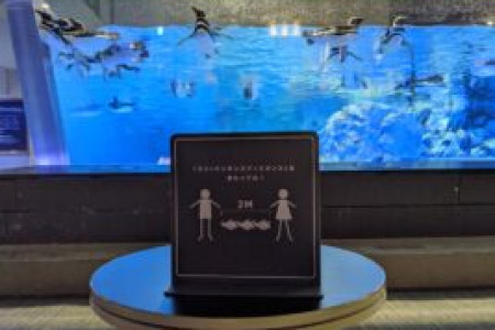 東京スカイツリータウン にある すみだ水族館 公式