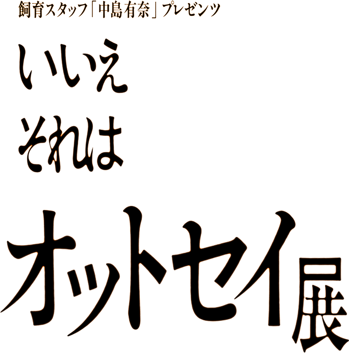 飼育スタッフ「中島 有奈」プレゼンツ