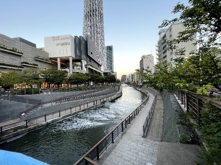 北十間川のいきものを調査しました 東京スカイツリータウン にある すみだ水族館 公式